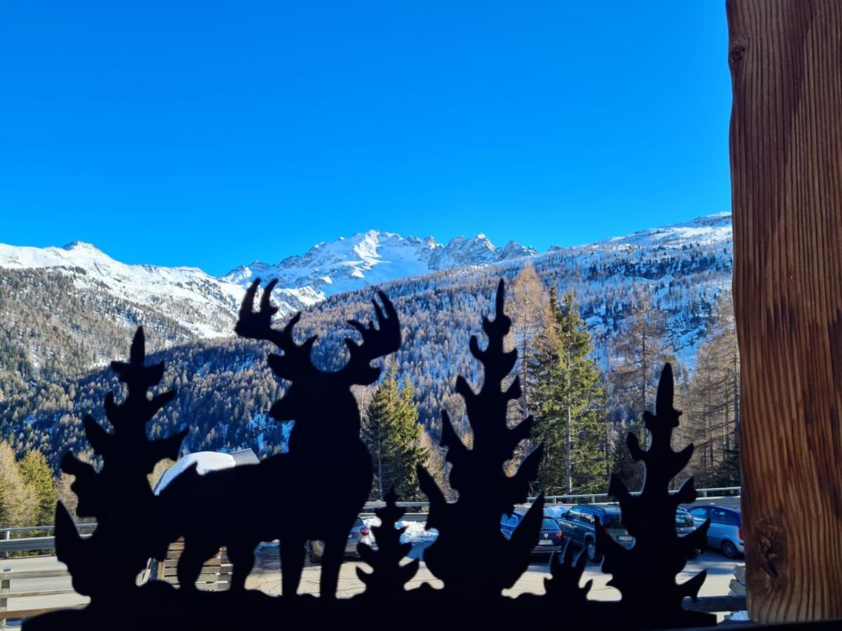 Chalet Selva Lägenhet Isolaccia Exteriör bild